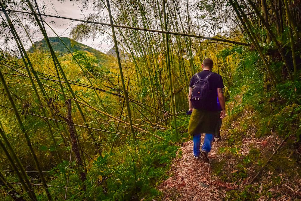 Fenrui Historic Trail - Hiking in Taiwan - Parkbus Taiwan - Alishan 3