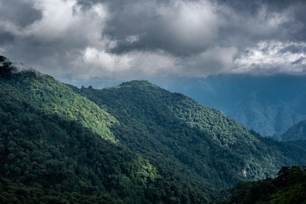 Daxueshan National Forest - Hiking in Taiwan - Parkbus Taiwan