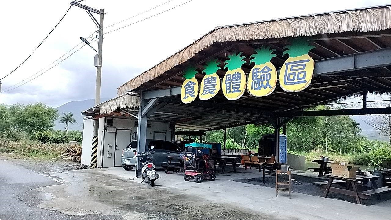 縱谷黃金湯樂活一日遊 HWA01T0001  台灣觀巴Taiwan Tour Bus