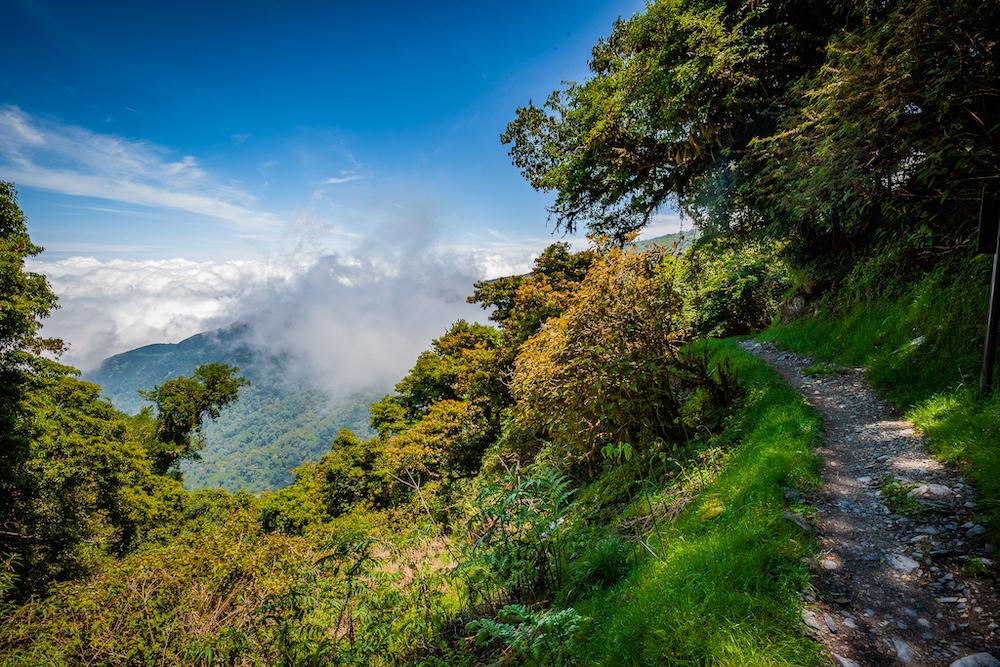 Guanwu National Forest - Hiking in Taiwan - Parkbus Taiwan