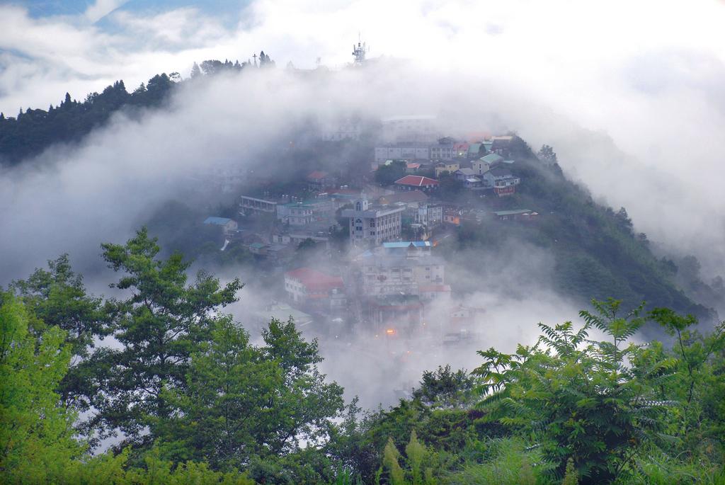 桃園拉拉山神木群森呼吸一日遊 Tyu01t0005 怡容國際旅行社bts旅遊網 五倍券國旅券行程優惠 安心防疫旅遊 台灣觀巴