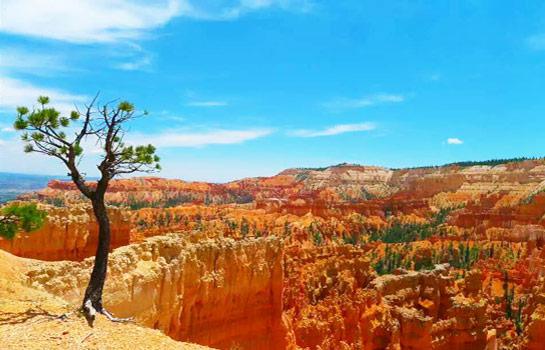 Upper Antelope Canyon Bryce Canyon San Francisco Zion Montery 17 Miles Joyholiday