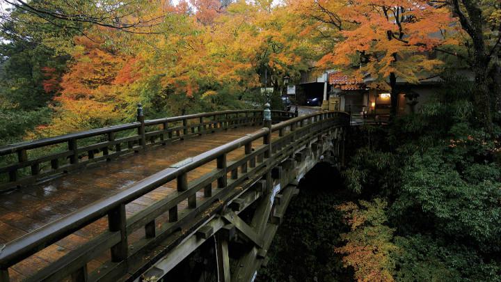 金秋東北賞楓秘境 紅色掃帚草 藏王纜車 松島海灣 猊鼻溪扁舟 五色沼 天鏡湖 螃蟹吃到飽 三大溫泉五日 Ibr05t0007