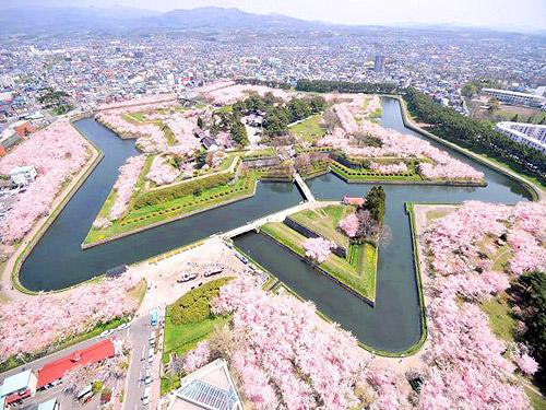 春櫻飛舞 精選北海道 含稅價 道東密境 阿寒湖噴射快艇 璀璨函館 三大螃蟹食放題 溫泉5日 旭 函 243 243 瘋賣旅遊 全台最多團體旅遊行程搜尋比價平台