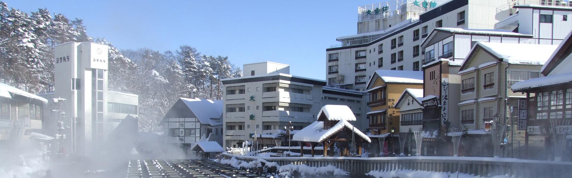 保證入住２晚溫泉 東京晴空塔 草津湯揉舞 伊香保石階梯 Diy手繪達摩 輕井澤散策 小江戶川越 Outlet五日 Sjp05ttb09 Lion 天擎旅行社