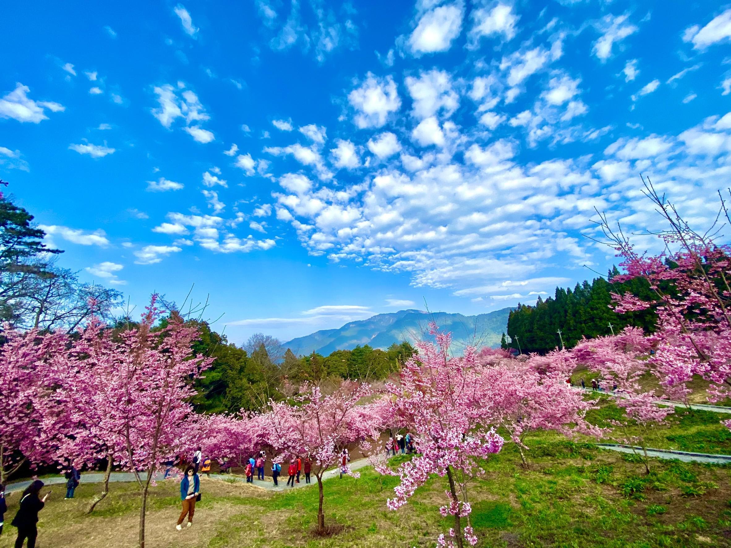 福壽山農場